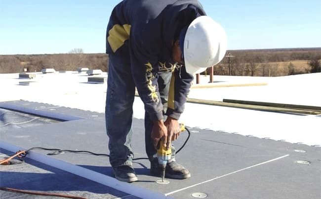 Image alternative text