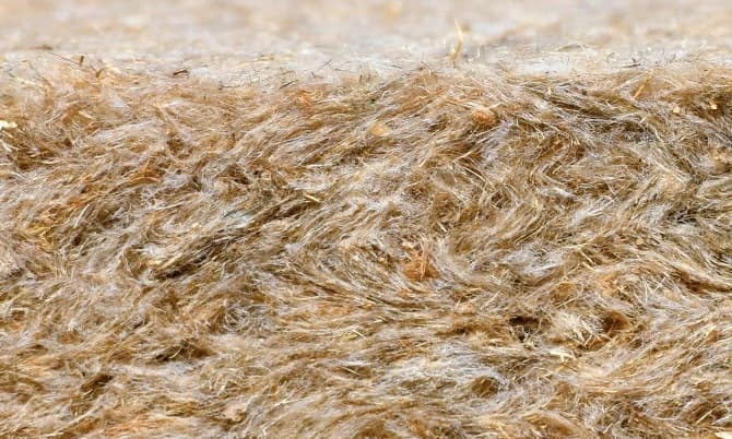 Image alternative text