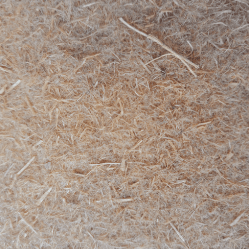 Image alternative text