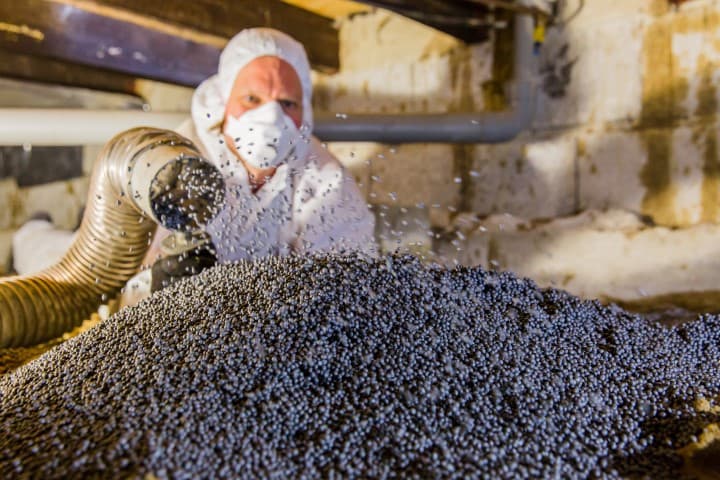 Image alternative text