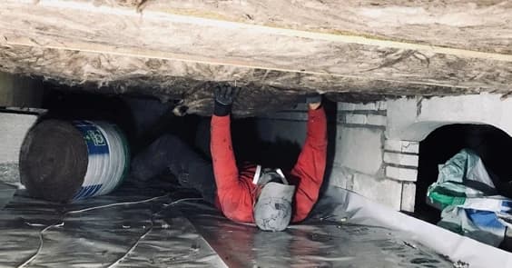 Image alternative text