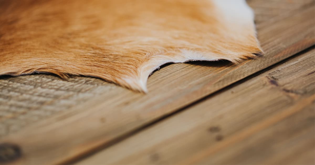 Image alternative text