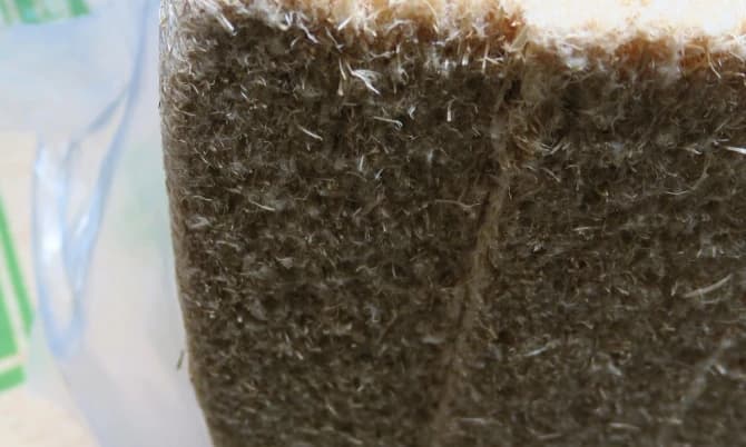 Image alternative text